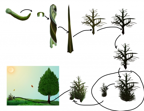 Creation of Landscape: Step 7